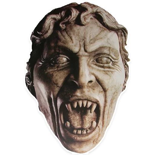 челюсть человеческое лицо лоб