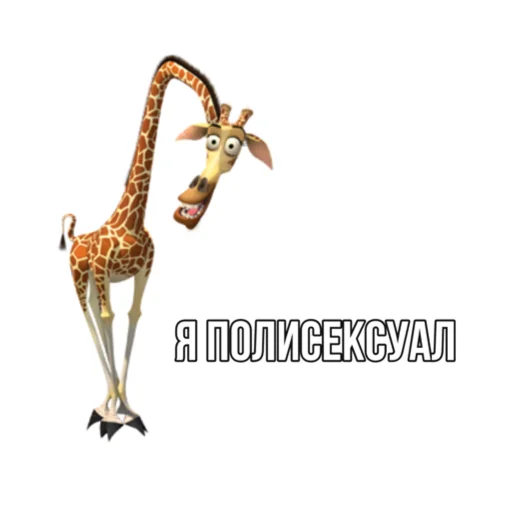 mammal animal giraffidae