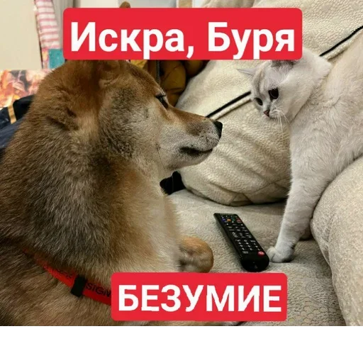Больше стикеров: @sticerru - 