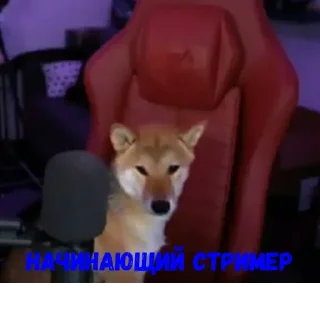 Стикер Больше стикеров: @sticerru - 5