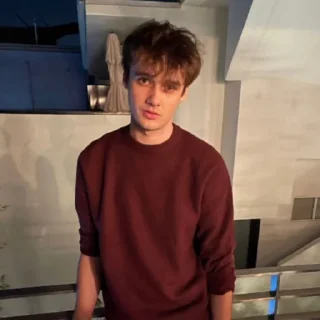 Sticker Wilbur Soot my beloved 2.0 - 2