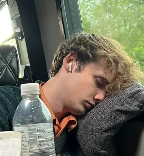 Sticker Wilbur Soot my beloved - 2