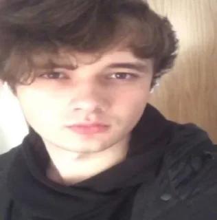 Sticker Wilbur Soot my beloved - 0