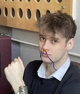 Sticker Wilbur Soot my beloved - 1