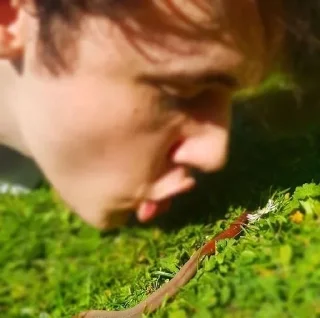 Sticker Wilbur Soot my beloved - 9