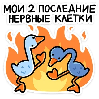 Sticker Дикие гуси  @TgSticker - 8