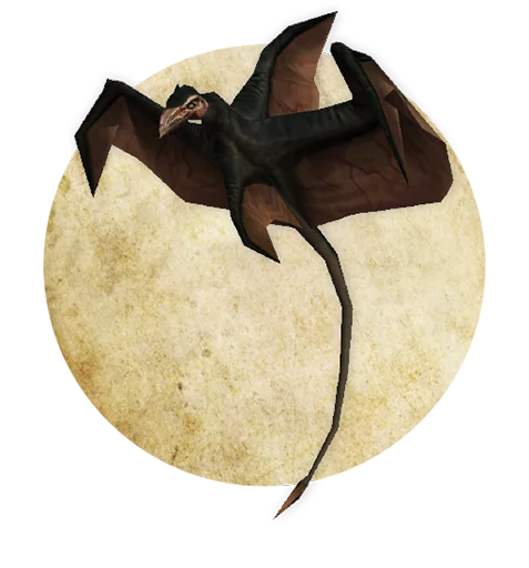 animal bat mammal