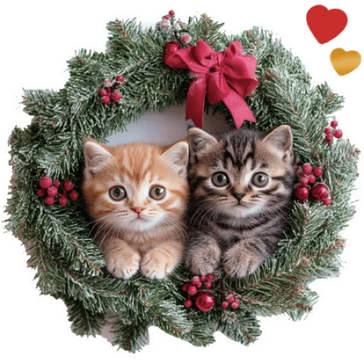 Зимние котики @Nyasticks - 