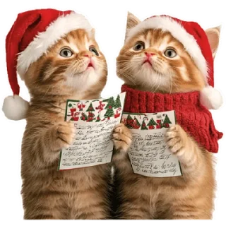 Стикер Зимние котики @Nyasticks - 5