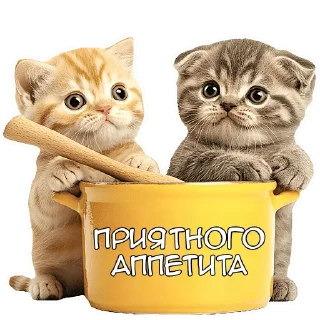 Стикер Зимние котики @Nyasticks - 11