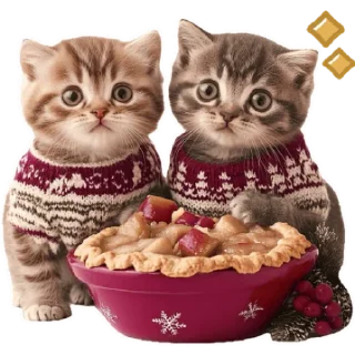 Стикер Зимние котики @Nyasticks - 2