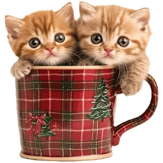 Стикер Зимние котики @Nyasticks - 7