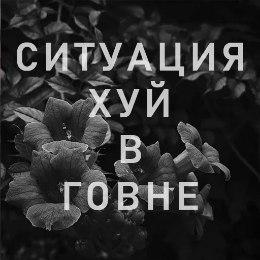 Вайсманяткин вайб - 