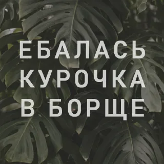 Стикер Вайсманяткин вайб - 1