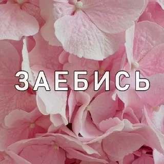 Стикер Вайсманяткин вайб - 4