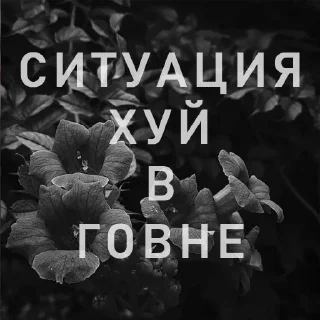 Стикер Вайсманяткин вайб - 2