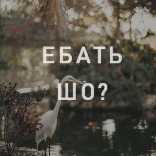 Стикер Вайсманяткин вайб - 11