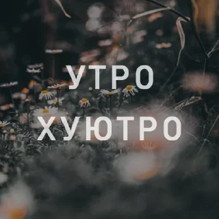 Стикер Вайсманяткин вайб - 5