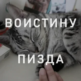 Стикер Вайсманяткин вайб - 6