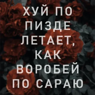 Стикер Вайсманяткин вайб - 9