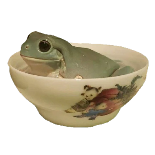 керамический чаша комнатный