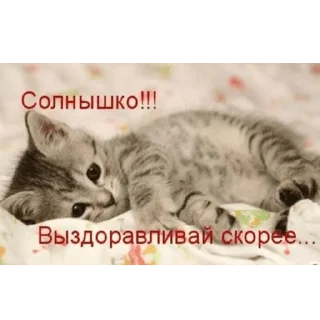 Sticker пендехас (без нигатива) - 5