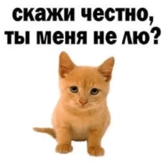 Sticker пендехас (без нигатива) - 10