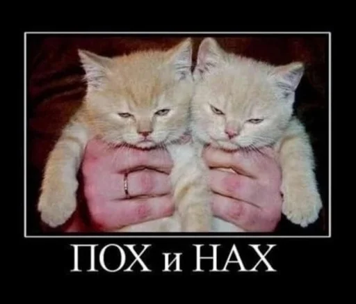 Стикер withleanday1 - 1