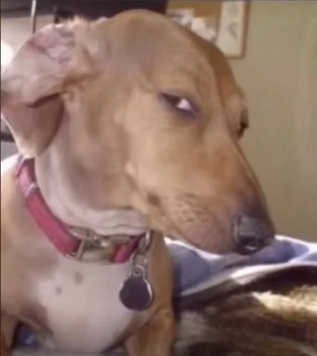 Sticker withleanday1 - 1