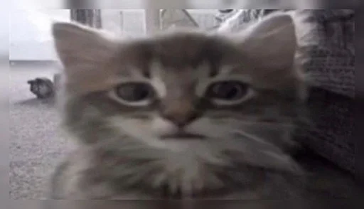 Sticker withleanday1 - 1