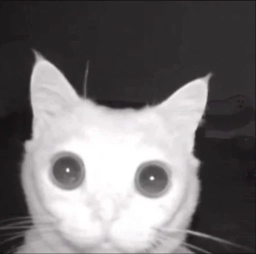 Стикер withleanday1 - 1