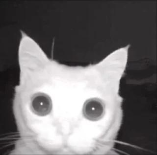 Стикер lovelean - 11