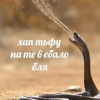 Sticker без мужиков - 3