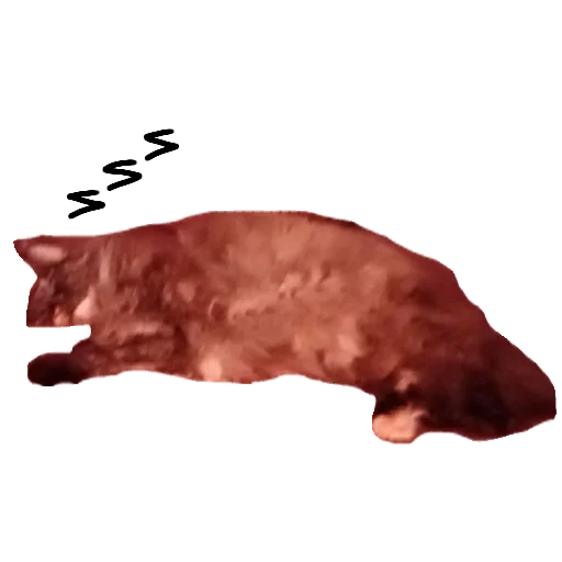 Sticker wmmzdtitz - 1