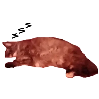 Sticker witwe meow meow - 1