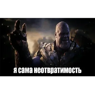 Стикер animals - 4