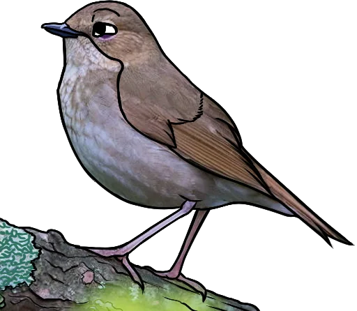 Sticker wojakcossack - 1