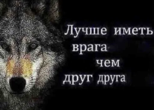 волк который волк - 
