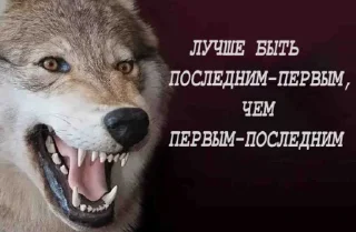 Sticker волк который волк - 3