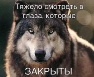 Sticker волк который волк - 1