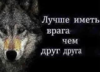 Sticker волк который волк - 4