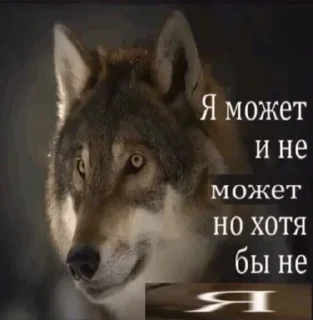 Sticker волк который волк - 5