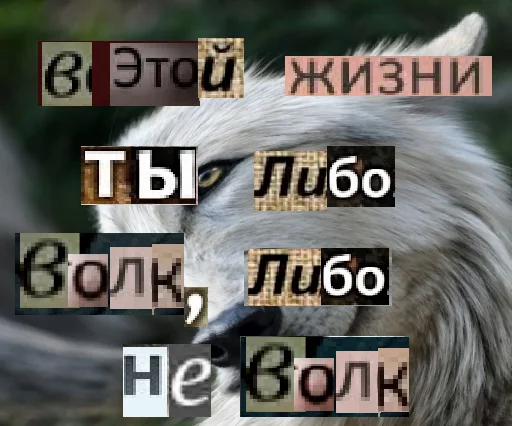 Стикер wolf_2023 - 1