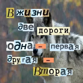 Sticker Волк за брата @sticker_na_vorotnik - 3