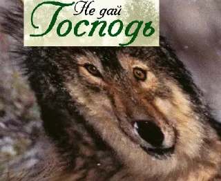 Sticker Волк за брата @sticker_na_vorotnik - 4