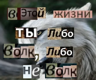 Sticker Волк за брата @sticker_na_vorotnik - 1