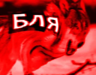 Sticker Волк за брата @sticker_na_vorotnik - 2