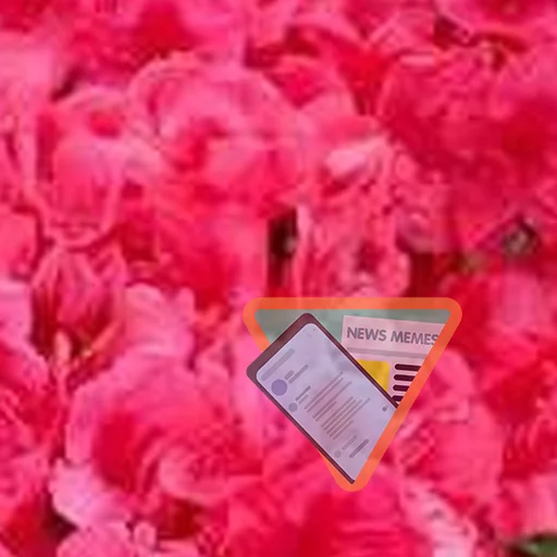 растение цветок лепесток