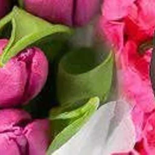 лепесток цветок растение