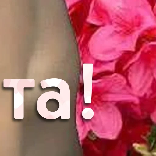 СМС лепесток розовый